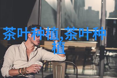 普洱茶包装小小议