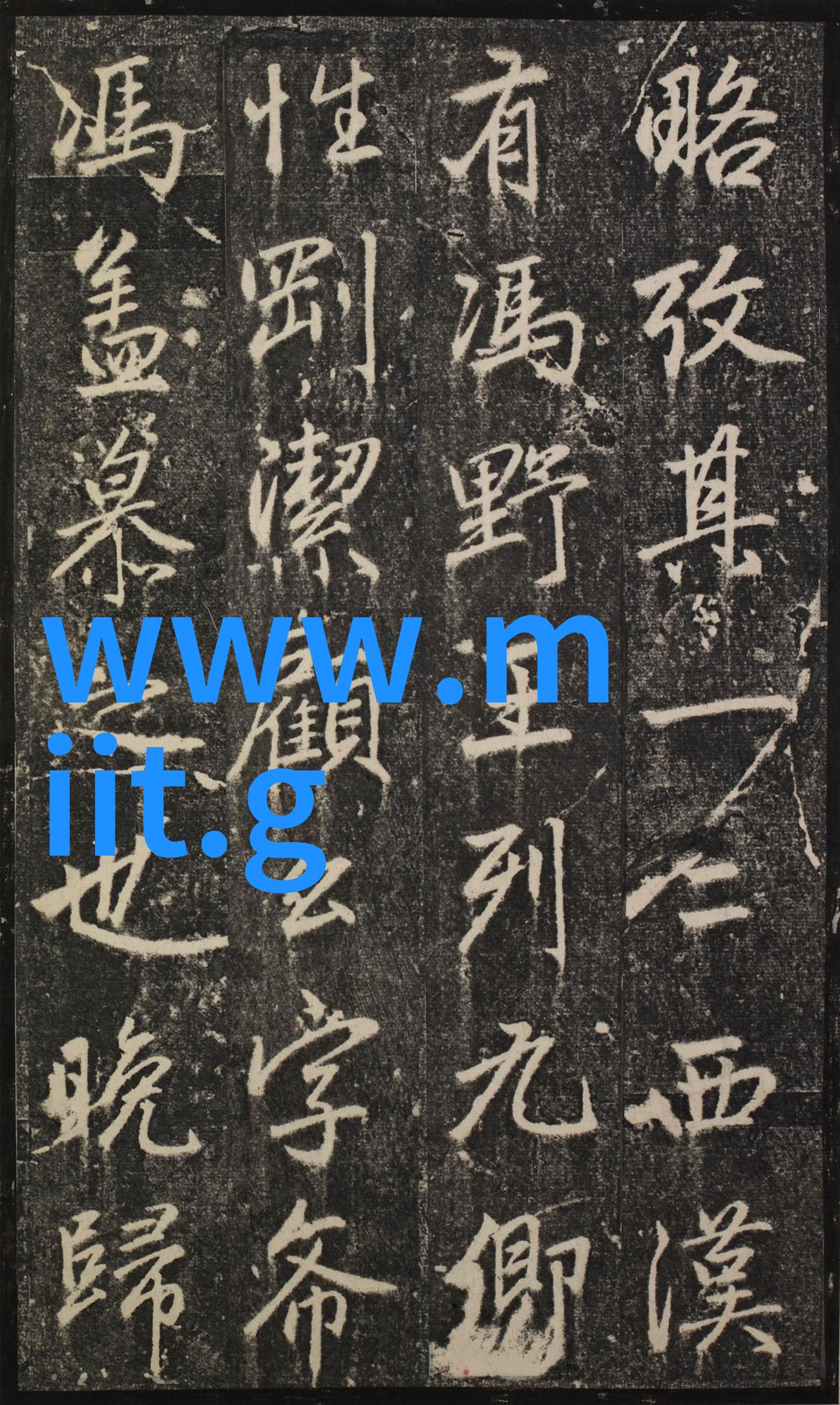 23米高云杉树亮相纽约迎圣诞节