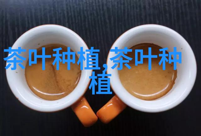 碧螺春是什么茶